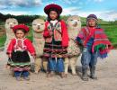 children-peru-and-alpaca